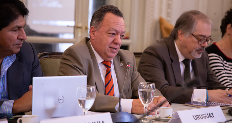 Sergio Rico, durante la reunión. Fuente: Ministerio de Relaciones Exteriores de Argentina.