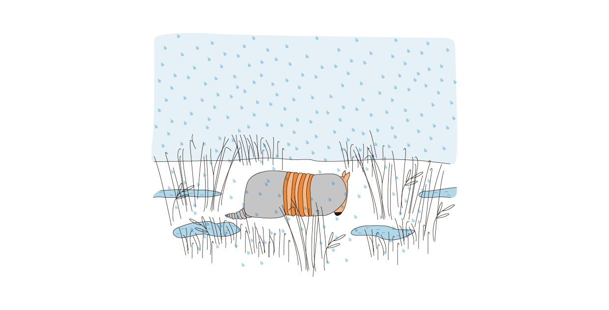 Imagen. Mulita intenta resguardarse de la lluvia y el frío mientras el terreno comienza a inundarse.