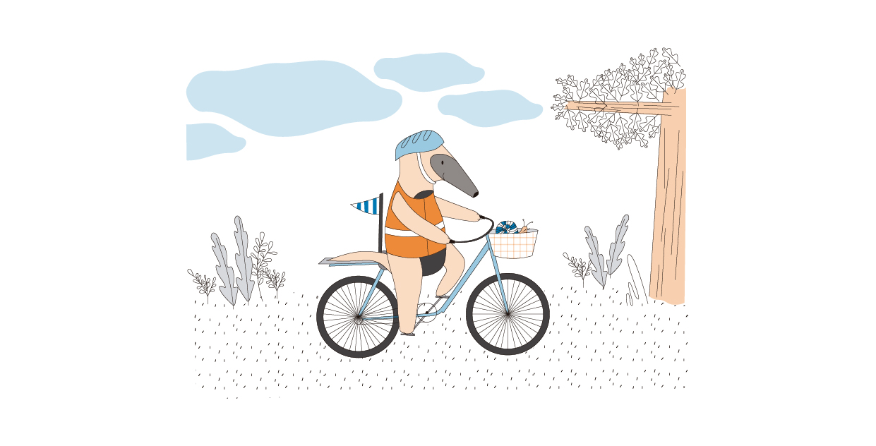 Imagen. Tamanduá realiza un paseo en bicicleta cumpliendo las diferentes medidas de seguridad: cumple con el uso de casco y ropa de alta visibilidad. 