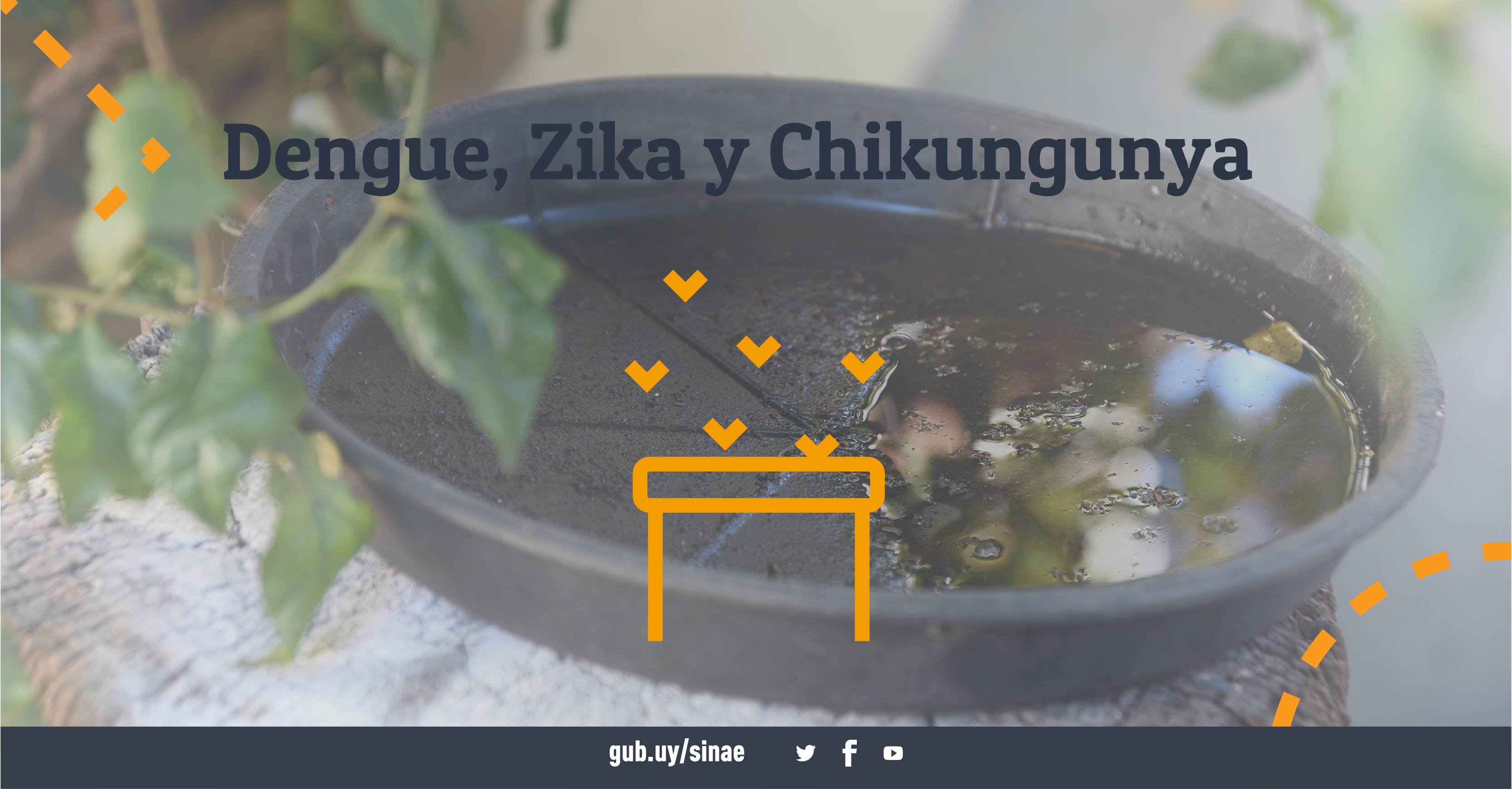 Dengue Zika y Chikungunya