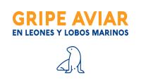 Gripe Aviar en Leones y Lobos Marinos