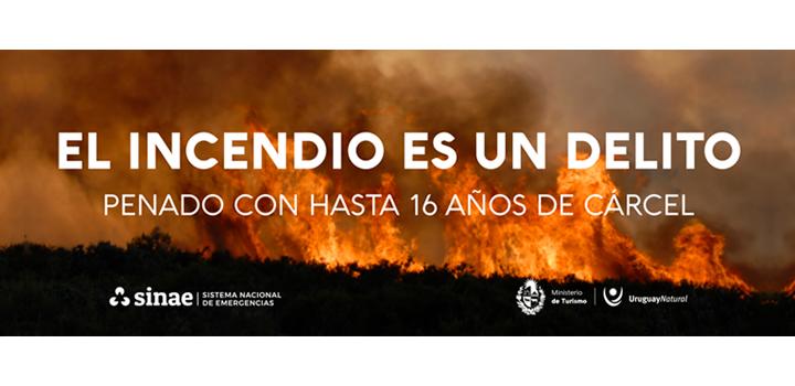 el incendio es un delito