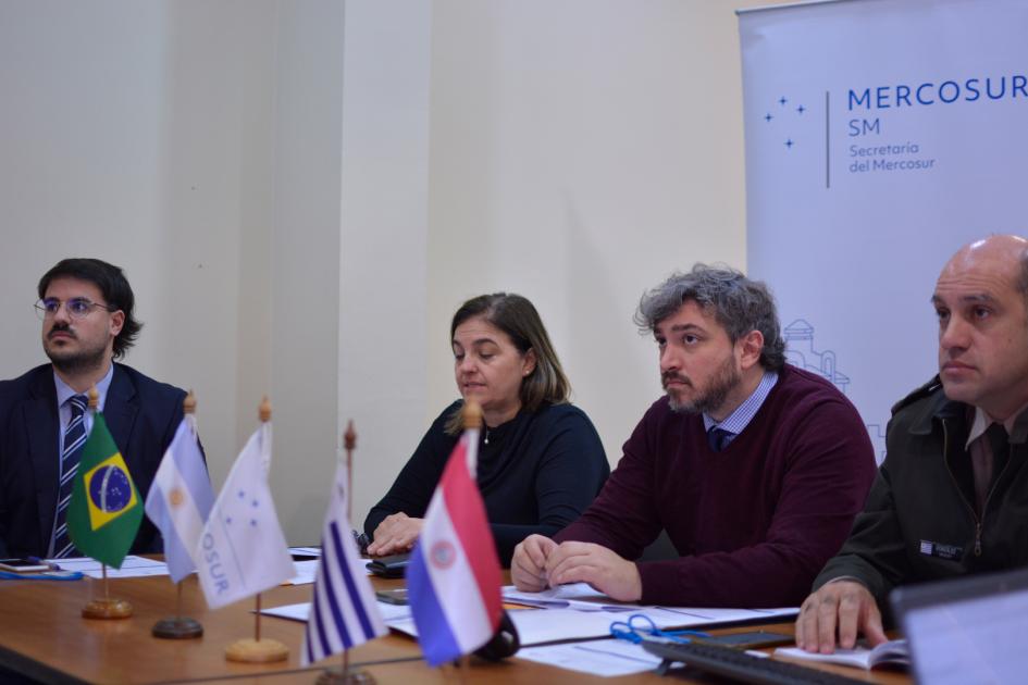 III Reunión Técnica Especializada de la RMAGIR III Reunión Técnica Especializada de la RMAGIR