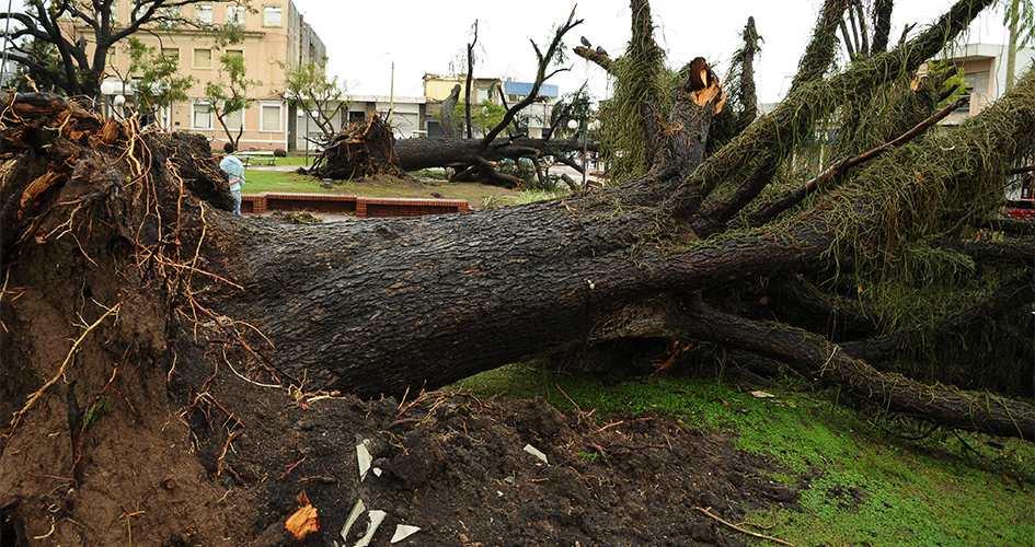 Fuente: Presidencia - Tornado en la ciudad de Dolores 15 de abril de 2016 Tornado en la ciudad de Dolores 15 de abril de 2016
