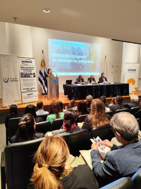 Presentación del Protocolo integrado de mercancías peligrosas Presentación del Protocolo integrado de mercancías peligrosas