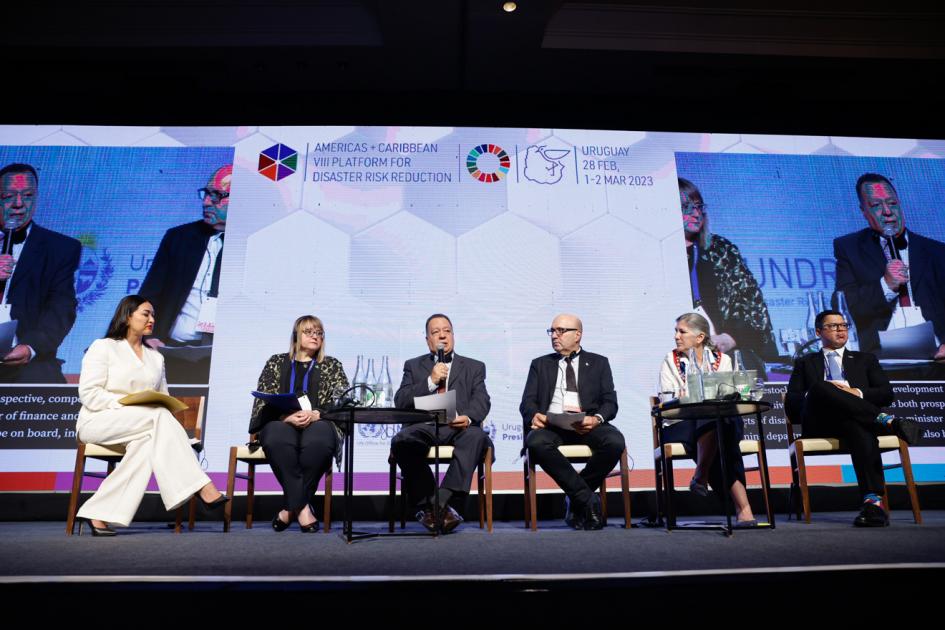 Panel de la Sesión Plenaria sobre gobernanza del riesgo