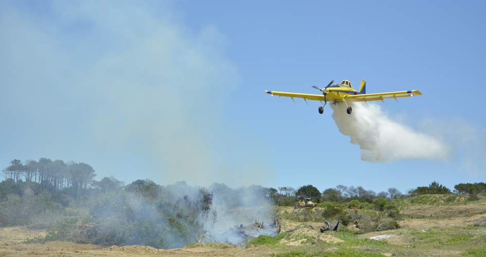 Avión de ANEPA en ejercicio final