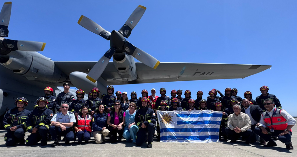 Imagen: Corporación Nacional Forestal de Chile