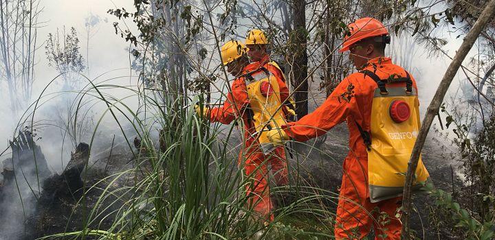 Incendio en balneario Las Vegas Bomberos con mochilas de agua apagando incendio en monte de Las Vegas