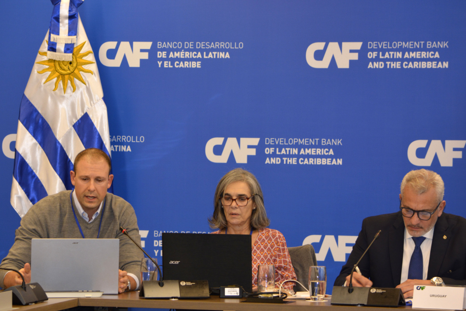 IV Reunión de Altas Autoridades en Gestión de Riesgo de Desastres del Consenso de Brasilia