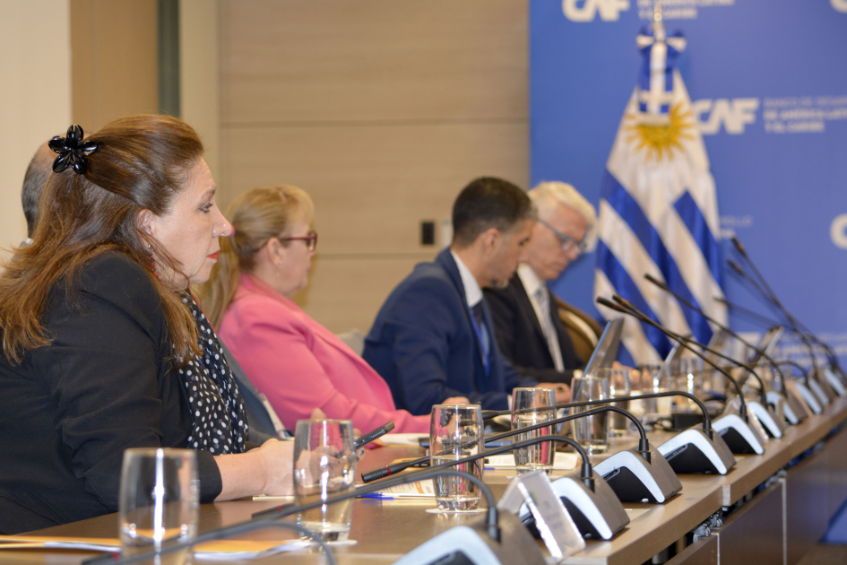 IV Reunión de Altas Autoridades en Gestión de Riesgo de Desastres del Consenso de Brasilia