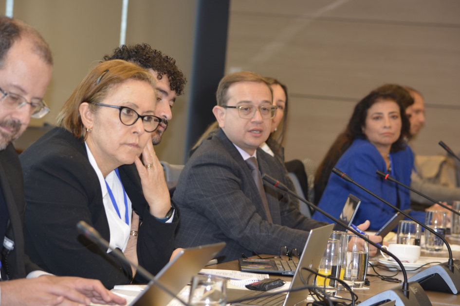 IV Reunión de Altas Autoridades en Gestión de Riesgo de Desastres del Consenso de Brasilia