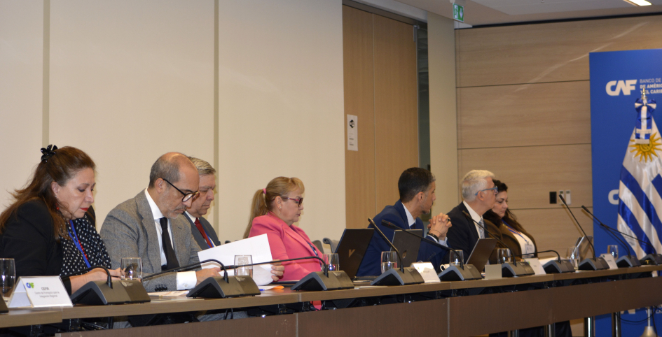 IV Reunión de Altas Autoridades en Gestión de Riesgo de Desastres del Consenso de Brasilia