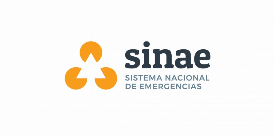 Logo del Sinae