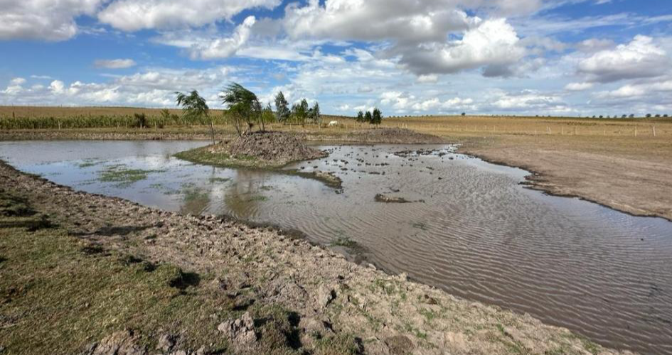 Imagen ilustrativa de paisaje con inundaciones Imagen ilustrativa de paisaje con inundaciones