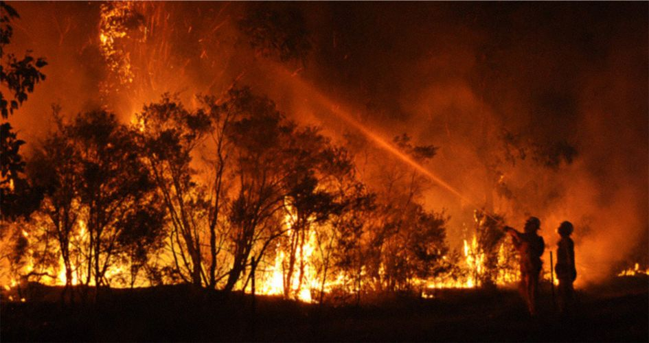 Bomberos apagando un incendio forestal