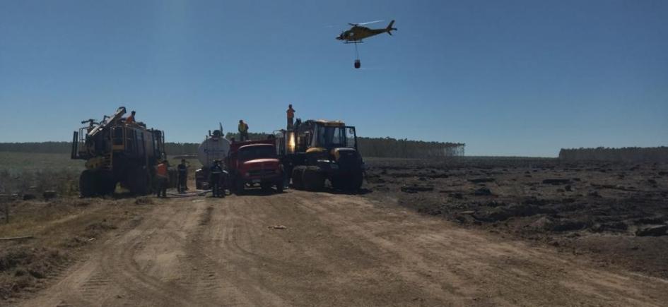 Personal de distintas instituciones trabajando para combatir el incendio en Río Negro - Foto: Cecoed