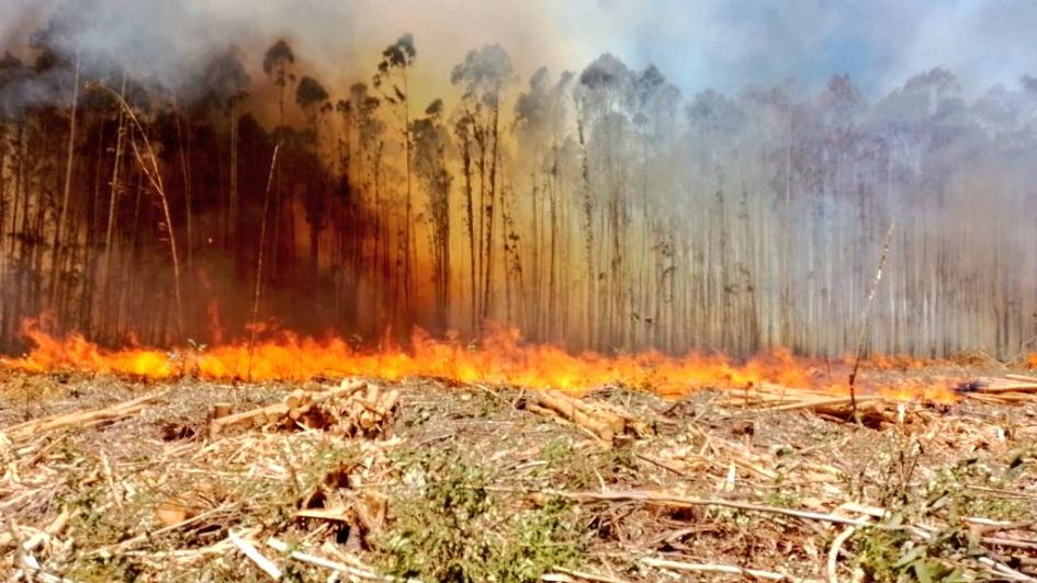 Incendio en Río Negro - Foto: Twitter oficial de la Dirección Nacional de Bomberos