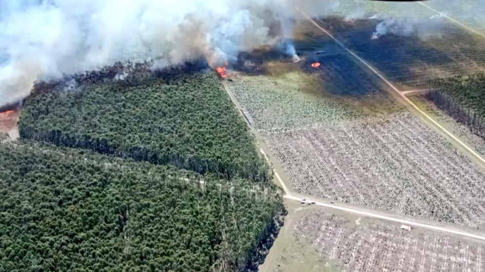 Incendio en Río Negro - Foto: Twitter oficial de la Dirección Nacional de Bomberos Incendio en Río Negro - Foto: Twitter oficial de la Dirección Nacional de Bomberos