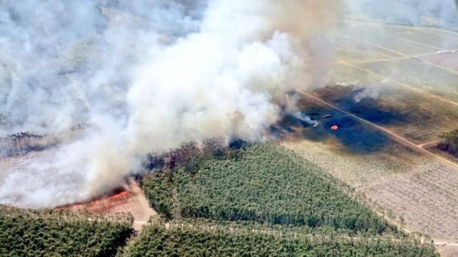 Incendio en Río Negro - Foto: Twitter oficial de la Dirección Nacional de Bomberos