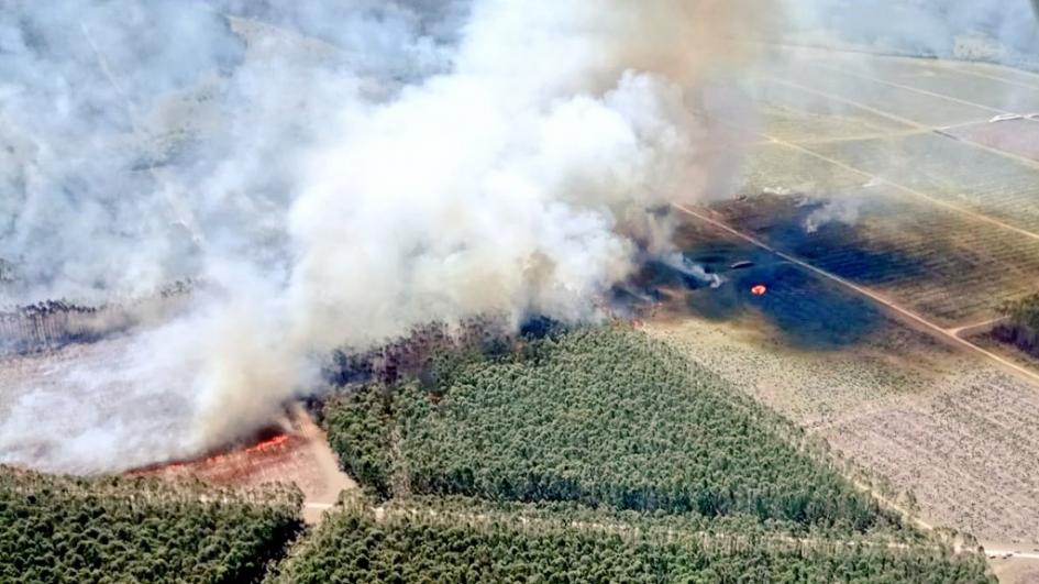 Incendio en Río Negro - Foto: Twitter oficial de la Dirección Nacional de Bomberos Incendio en Río Negro - Foto: Twitter oficial de la Dirección Nacional de Bomberos