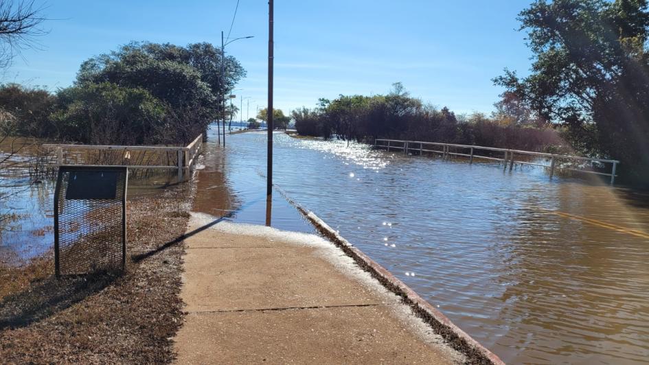 Imagen: Gentileza de la Intendencia de Salto