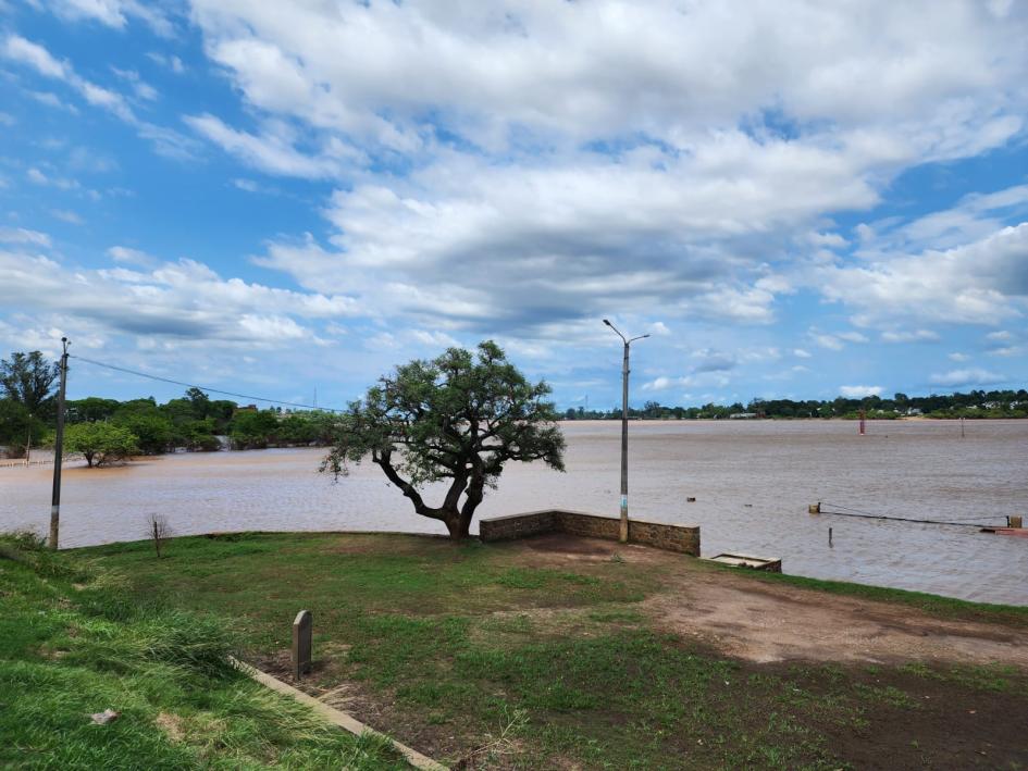 Archivo (gentileza de la Intendencia de Salto)