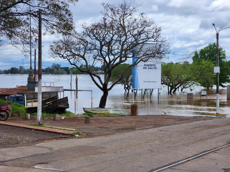 Gentileza de la Intendencia de Salto