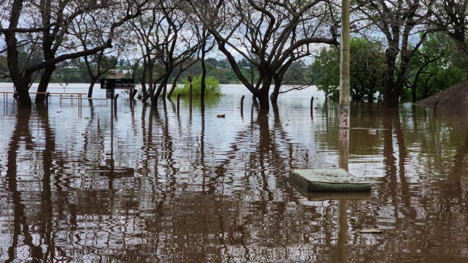 Gentileza de la Intendencia de Salto