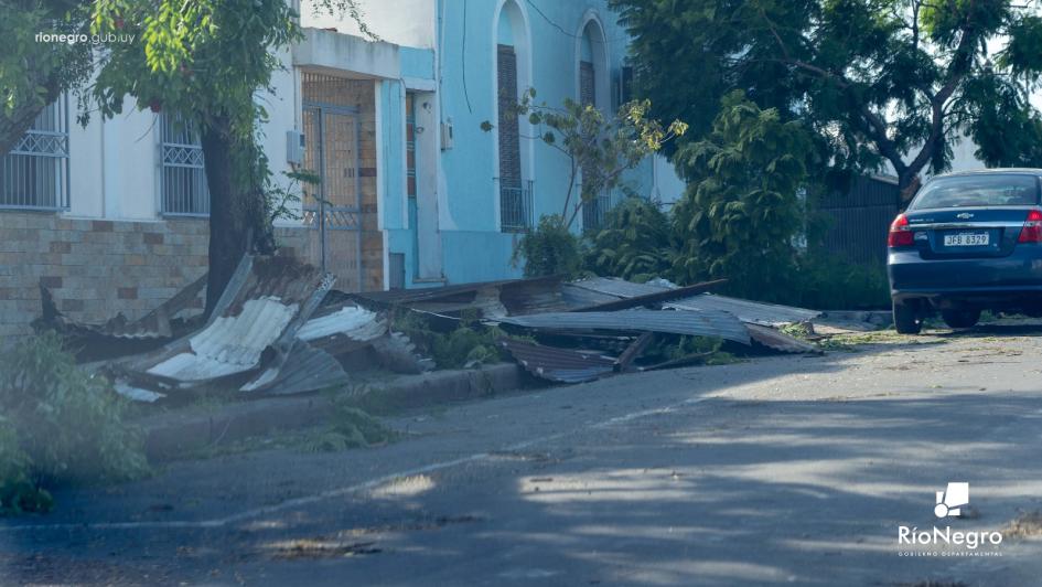 Imagen: Gentileza de la Intendencia de Río Negro