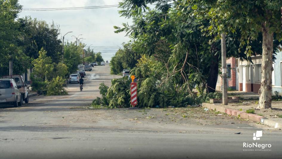 Imagen: Gentileza de la Intendencia de Río Negro