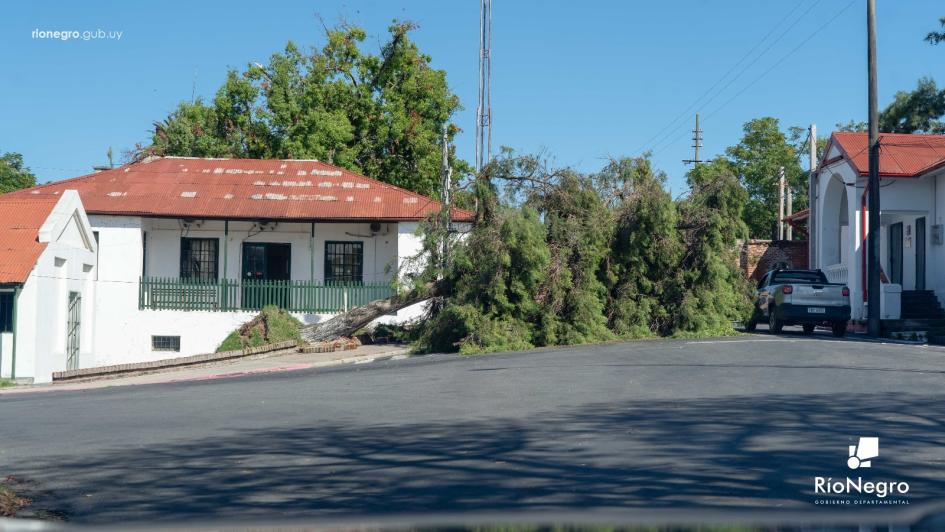 Imagen: Gentileza de la Intendencia de Río Negro