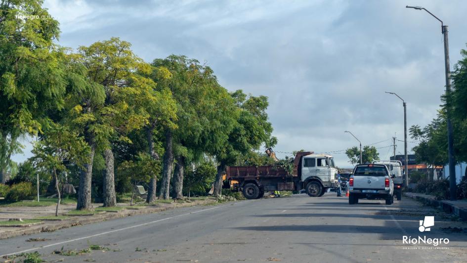 Imagen: Gentileza de la Intendencia de Río Negro