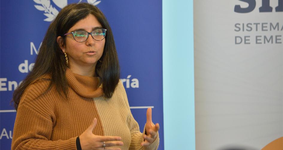 Presentación del área de Planificación de la DNE del Sinae