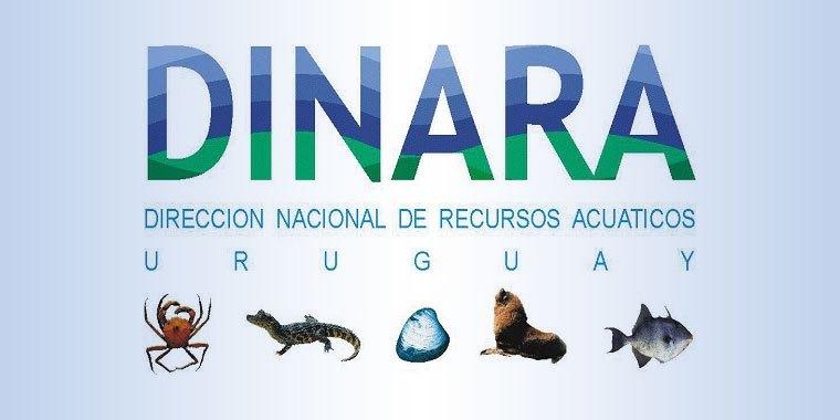 Logo DINARA Logo DINARA