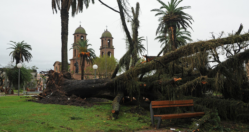 Fuente: Presidencia - Tornado en la ciudad de Dolores 15 de abril de 2016 Tornado en la ciudad de Dolores 15 de abril de 2016