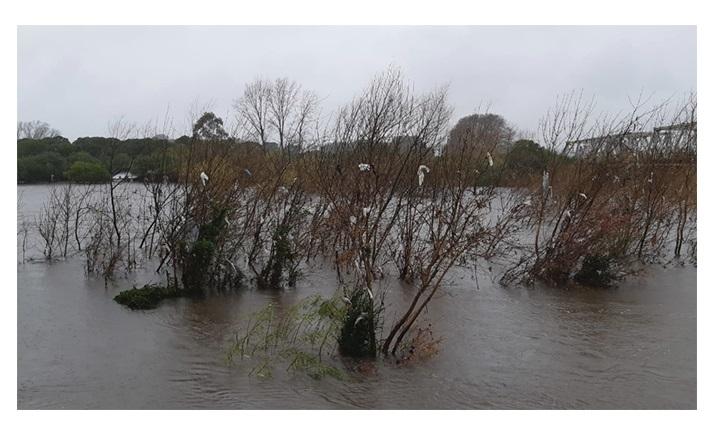 Actualización de las afectaciones a raíz de los recientes eventos meteorológicos Imagen de inundación