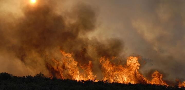 Incendio en un campo.