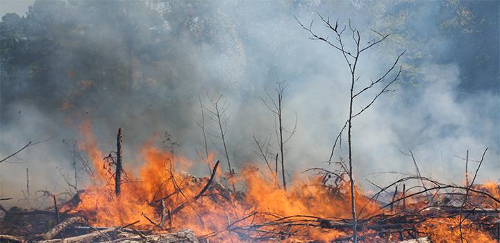 incendio de campo