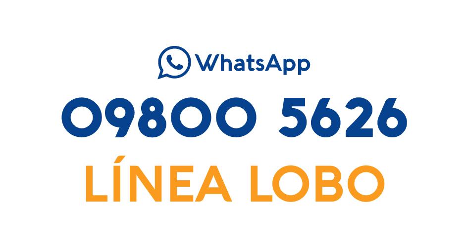 09800 5626 09800 5626