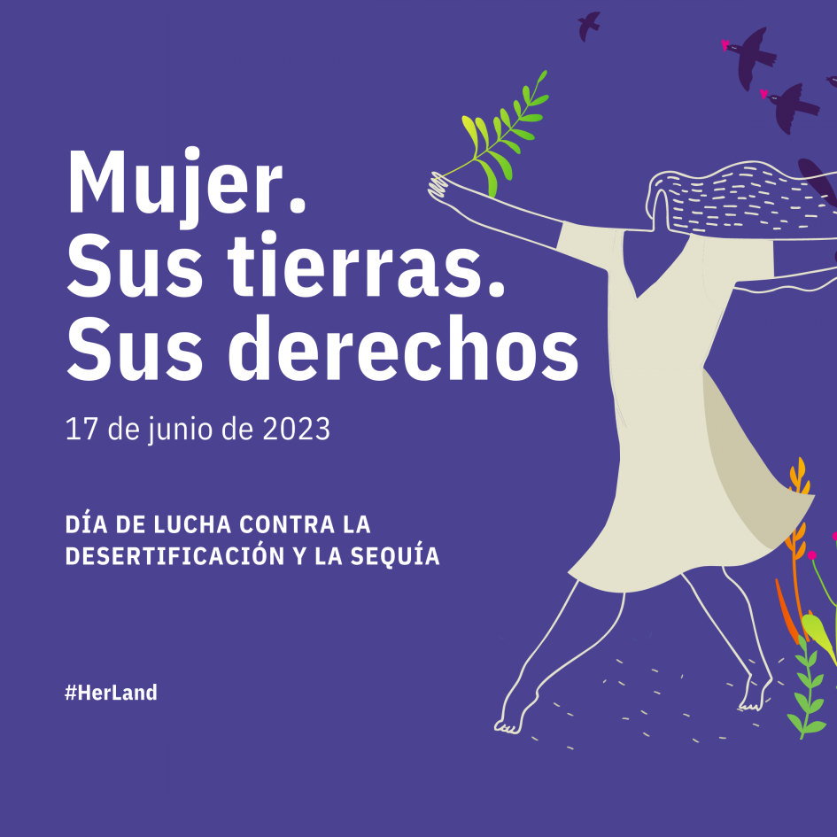 Material promocional: "Mujer. Sus tierras. Sus derechos" Material promocional: "Mujer. Sus tierras. Sus derechos"