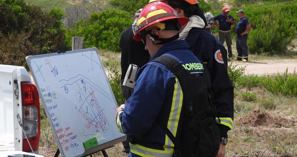 curso curso