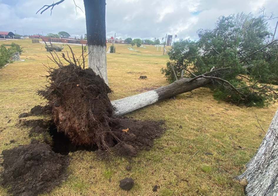 Ciclón Extratropical