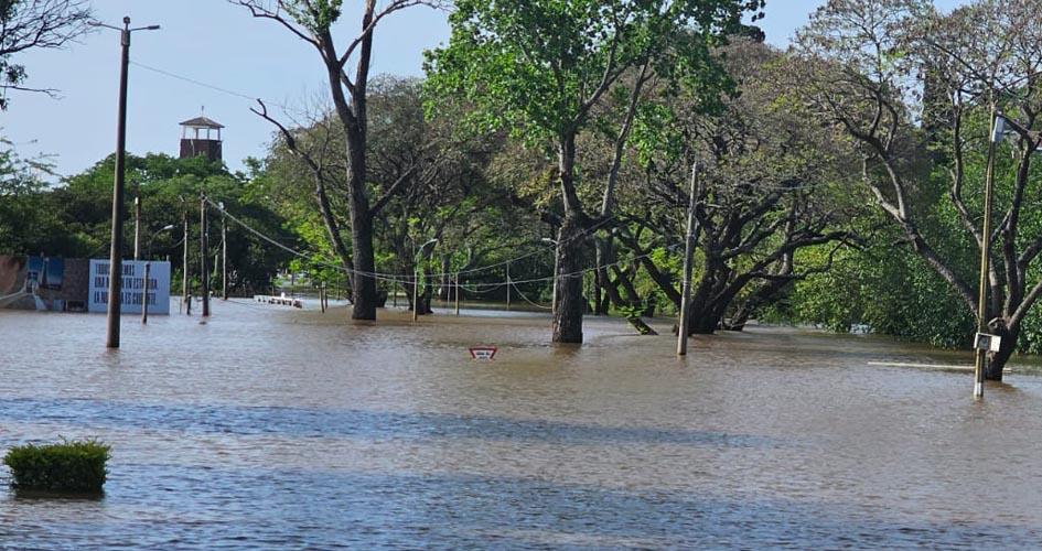 Gentileza de la Intendencia de Salto