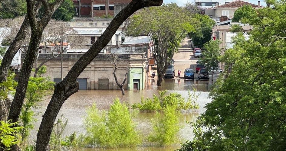 Gentileza de la Intendencia de Salto