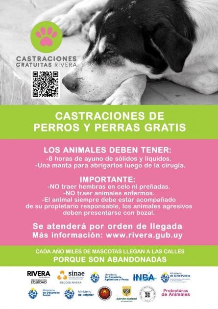 imagen imagen