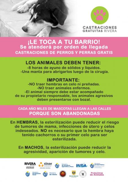 imagen imagen