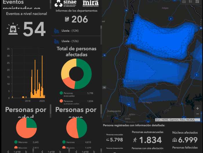 Visualizador histórico