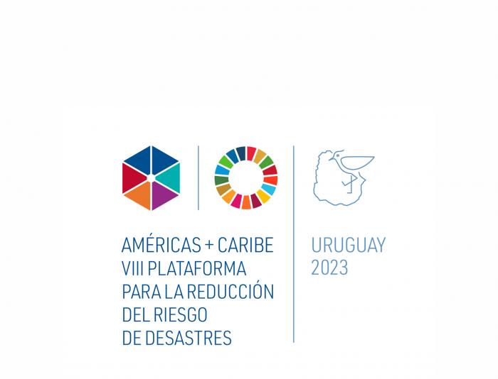 VIII Plataforma Regional para la Reducción del Riesgo de Desastres en ...