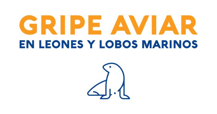 Gripe Aviar